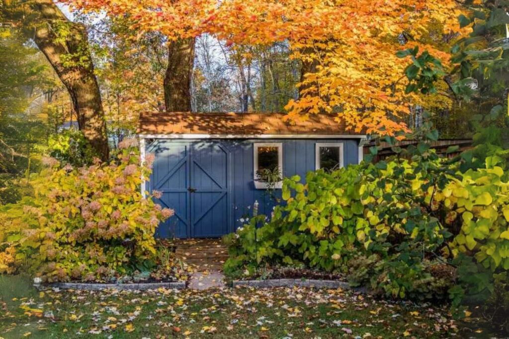 An outbuilding shed surrounded by autumn trees.